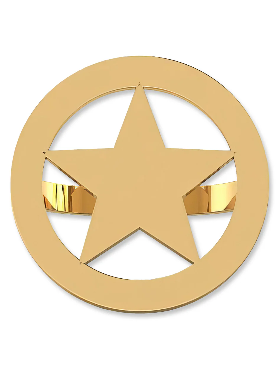 Saturday Silks Rodeo Star Ring