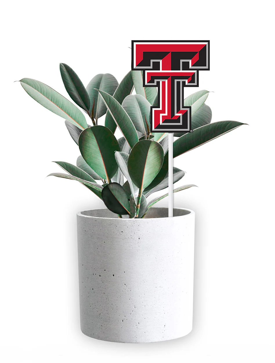 Texas Tech Double T "Flag Pop" - Image 2