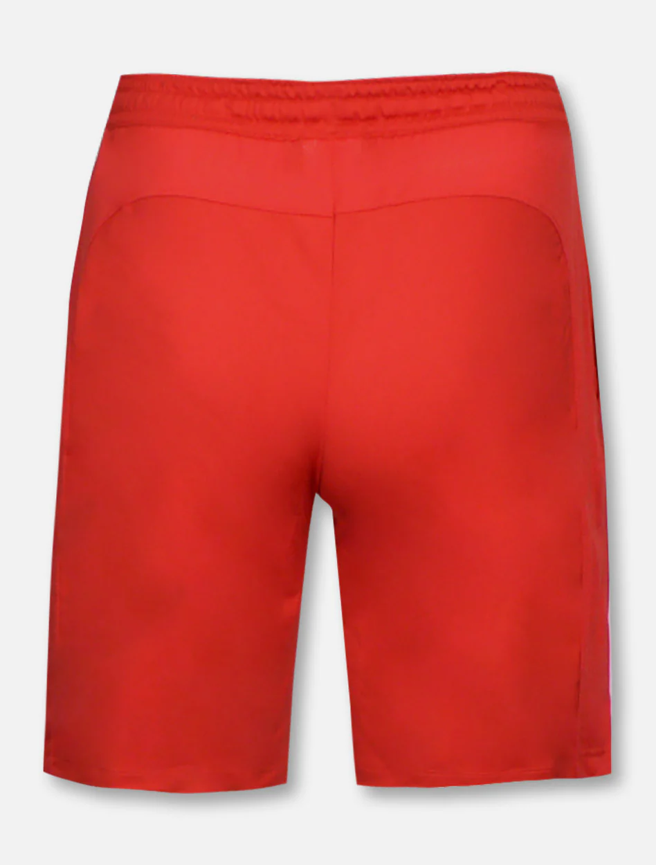 Under Armour Texas Tech Red Raiders Raid 2.0 Pride Shorts - Image 3